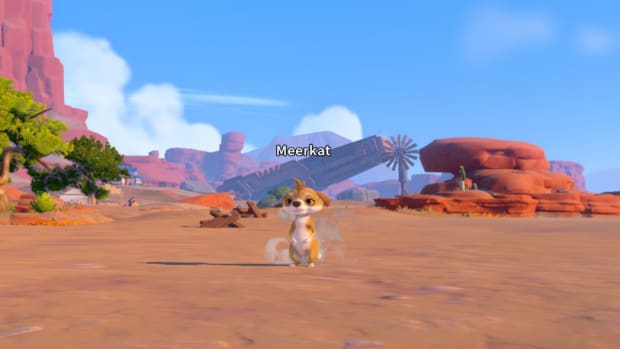 My Time at Sandrock Meerkat